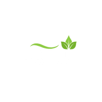 Earthly Essence Store