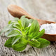 Stevia Leaf Extract